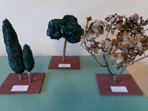 Modelli-Festa-dell-albero-nepi-stradella